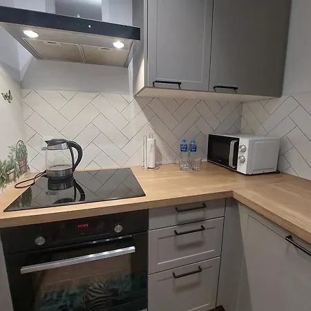 Zyczliwy Z Garazem Apartment
