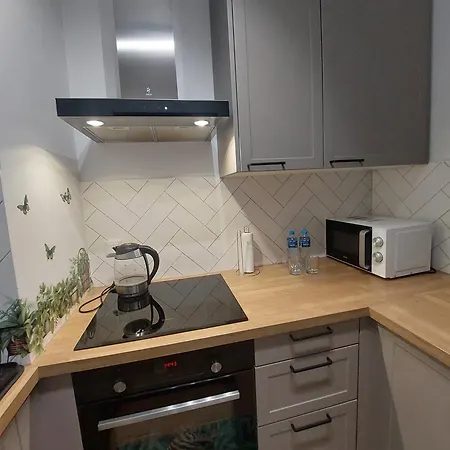 Zyczliwy Z Garazem 公寓 *