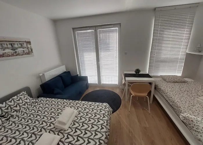 Zyczliwy Z Garazem Apartamento *