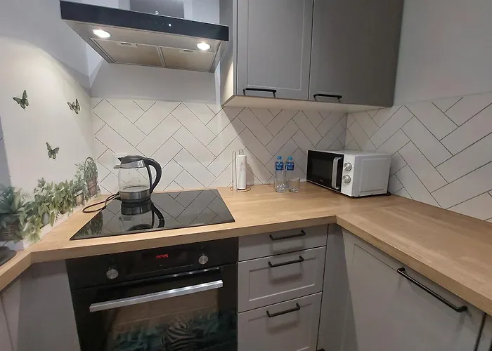 Zyczliwy Z Garazem Apartamento