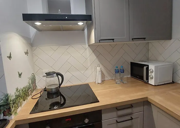 Zyczliwy Z Garazem Apartamento *